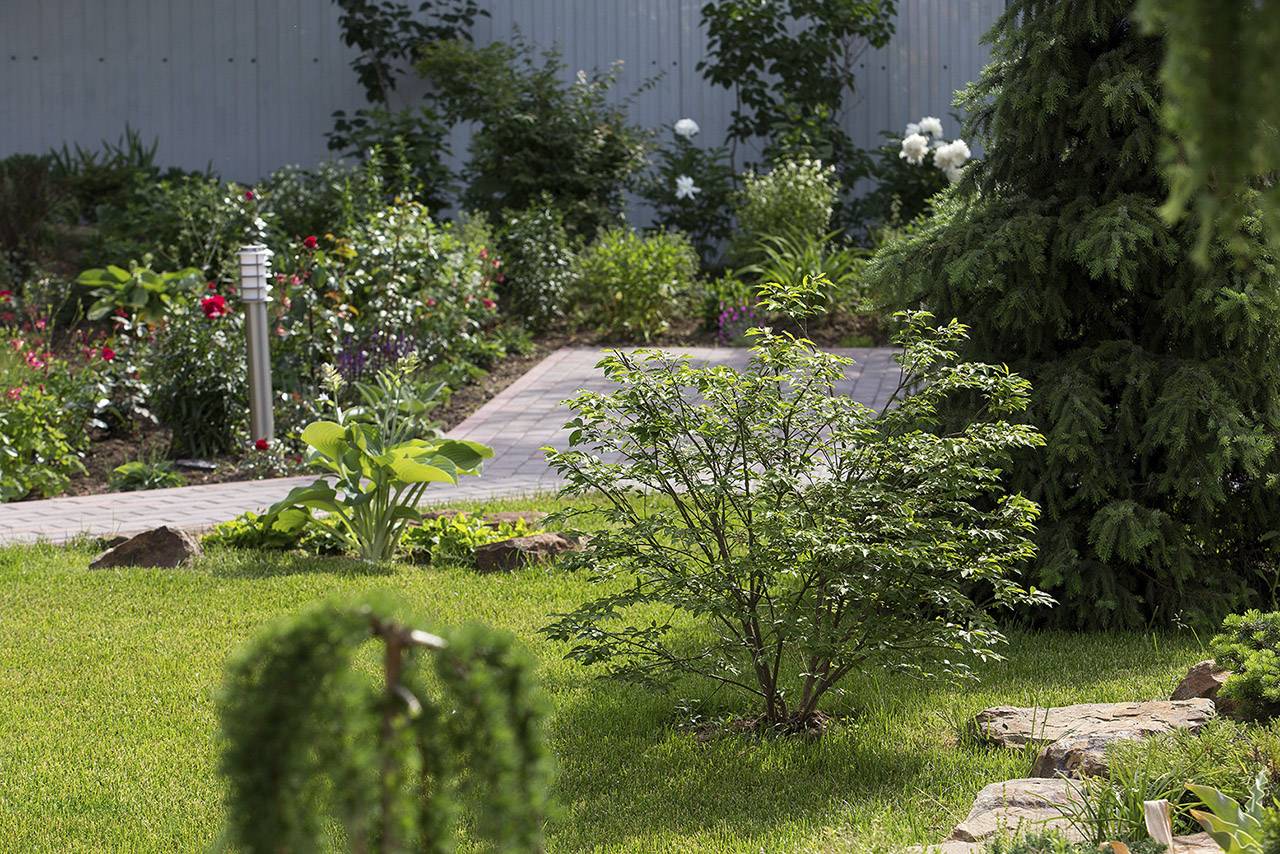 Проект Крекшино